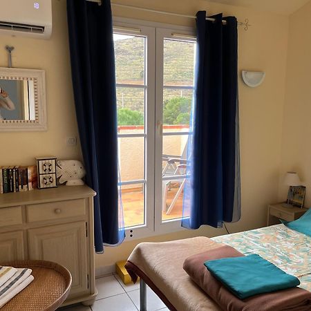 Aloes Apartment Cerbere Exterior photo